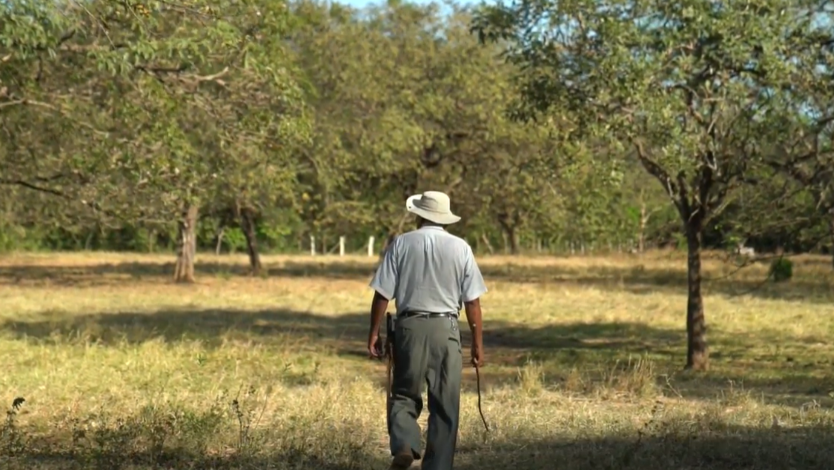 Load video: Provides the people of Guanacaste with the tools and knowledge needed to adapt to the challenges of climate change.